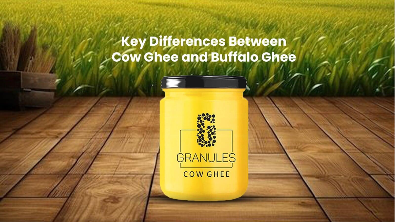  Key Differences Between Cow Ghee and Buffalo Ghee